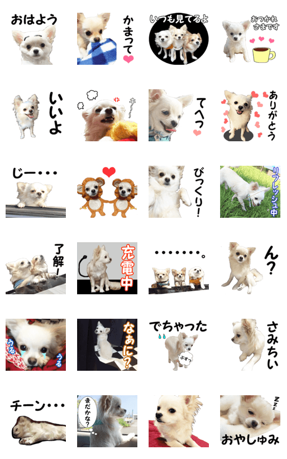 動く 黒チワワ Line スタンプ Line Store