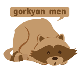 Cute turkmen racoon sticker #13737617