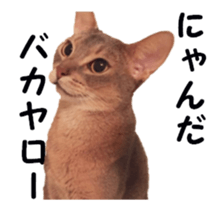 cats moving! sticker #13737758