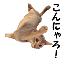 cats moving! sticker #13737759