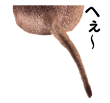 cats moving! sticker #13737760