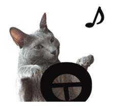 cats moving! sticker #13737763