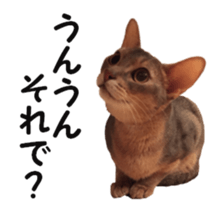 cats moving! sticker #13737764