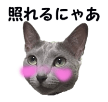 cats moving! sticker #13737765