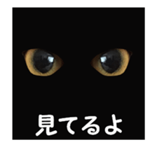 cats moving! sticker #13737769