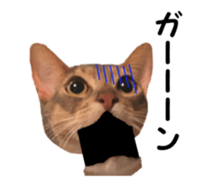 cats moving! sticker #13737772