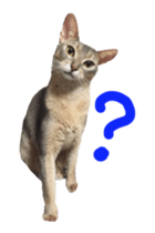 cats moving! sticker #13737773