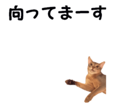 cats moving! sticker #13737775