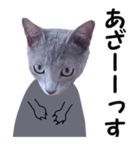 cats moving! sticker #13737776