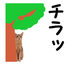 cats moving! sticker #13737779