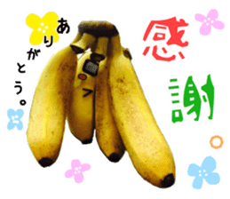 Banana no Banahey sticker #13738100