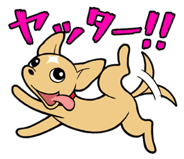 Chihuahua Wanwan sticker #13738225