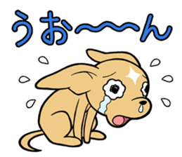 Chihuahua Wanwan sticker #13738226