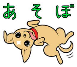 Chihuahua Wanwan sticker #13738227