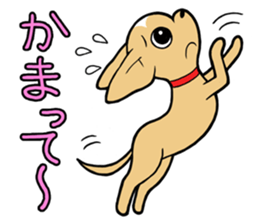 Chihuahua Wanwan sticker #13738228