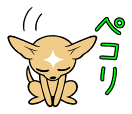 Chihuahua Wanwan sticker #13738233