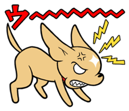 Chihuahua Wanwan sticker #13738235