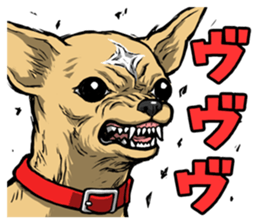 Chihuahua Wanwan sticker #13738236