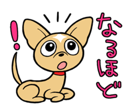 Chihuahua Wanwan sticker #13738241