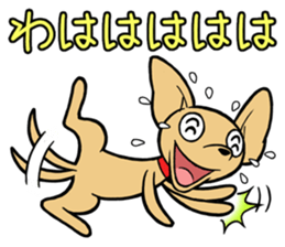 Chihuahua Wanwan sticker #13738245