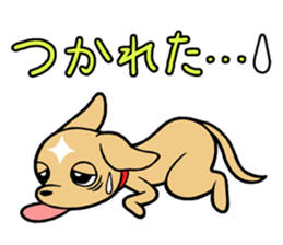 Chihuahua Wanwan sticker #13738249