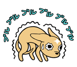 Chihuahua Wanwan sticker #13738258