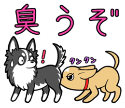 Chihuahua Wanwan sticker #13738259