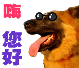 My naughty dog sticker #13738462