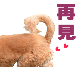 My naughty dog sticker #13738463