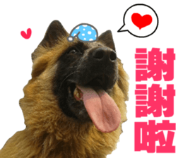 My naughty dog sticker #13738464