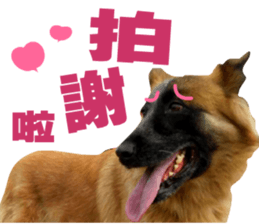 My naughty dog sticker #13738465