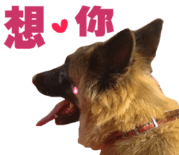 My naughty dog sticker #13738467