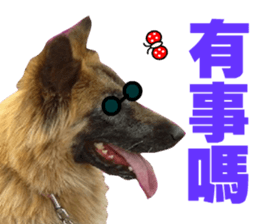 My naughty dog sticker #13738468