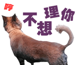 My naughty dog sticker #13738469