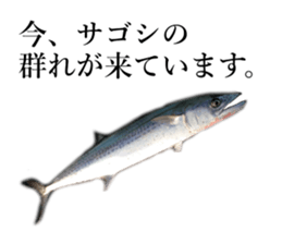 Fishing Fishing Sticker sticker #13739078