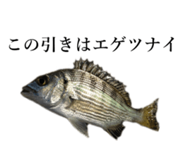 Fishing Fishing Sticker sticker #13739082