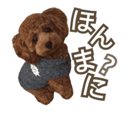 Kansai Toypoodle ~coto~ sticker #13739091