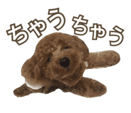 Kansai Toypoodle ~coto~ sticker #13739094