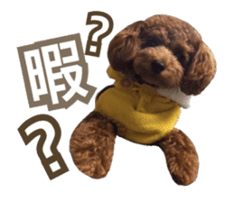 Kansai Toypoodle ~coto~ sticker #13739109