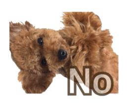 Kansai Toypoodle ~coto~ sticker #13739117