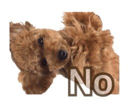 Kansai Toypoodle ~coto~ sticker #13739117