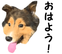 will sticker #13741806