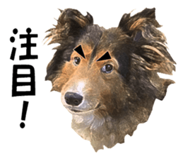 will sticker #13741807