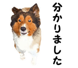 will sticker #13741808