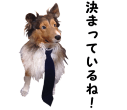 will sticker #13741809