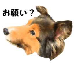 will sticker #13741810