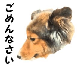 will sticker #13741812