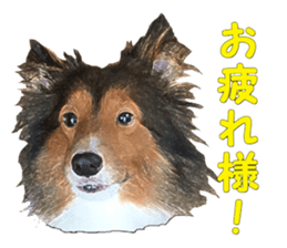 will sticker #13741814