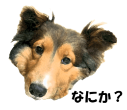 will sticker #13741817