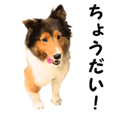 will sticker #13741819